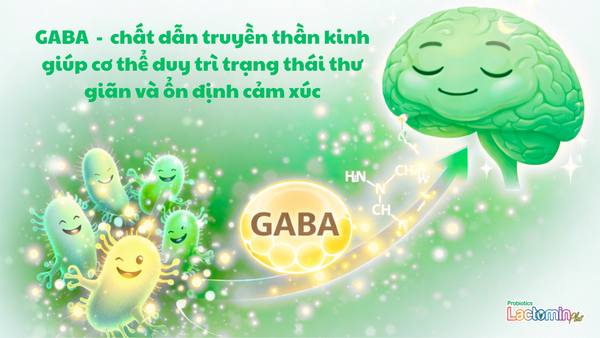 Hình ảnh bài viết