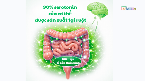 Hình ảnh bài viết