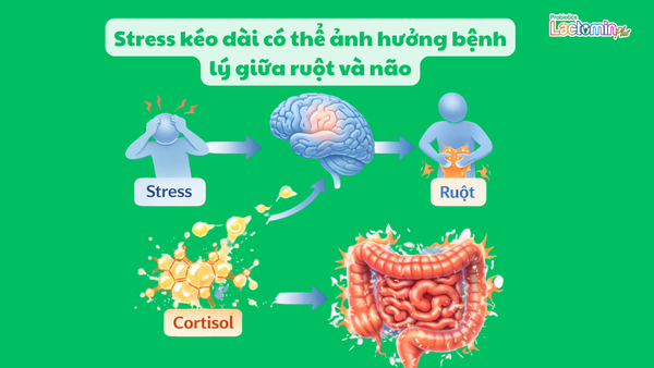 Hình ảnh bài viết