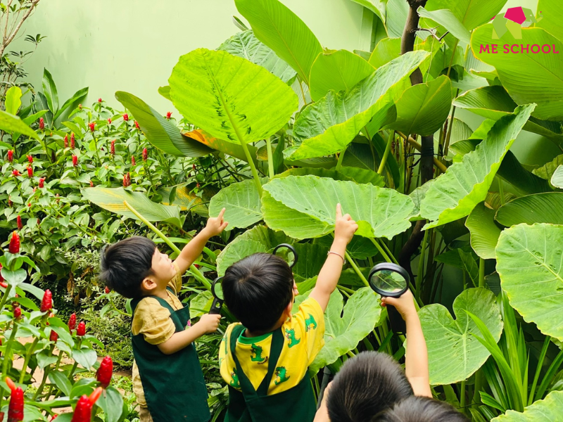 dạy trẻ 2 tuổi tập nói