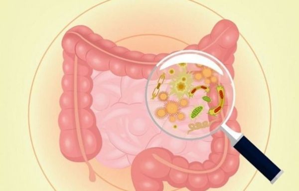 Hệ vi sinh đường ruột của bé rất dễ bị rối loạn