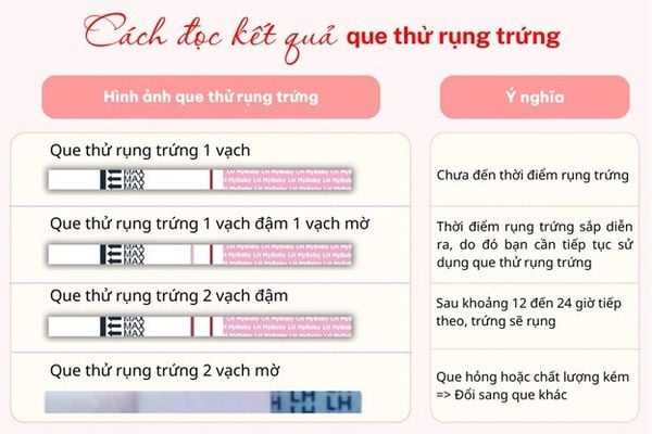 Cách đọc que thử trứng