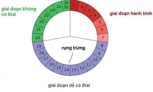 Canh trứng theo chu kỳ kinh nguyệt