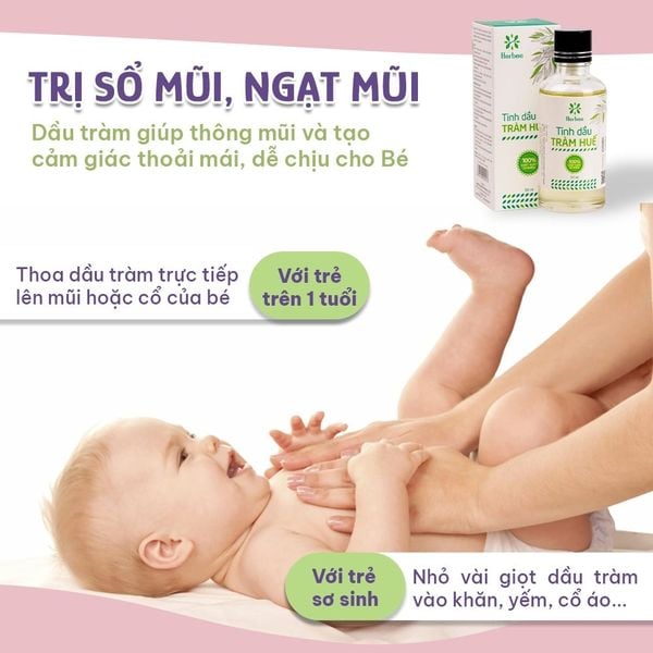 Dầu tràm trị sổ mũi, ngạt mũi