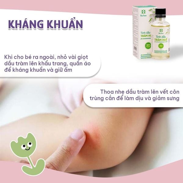 Dùng dầu tràm với liều lượng vừa đủ