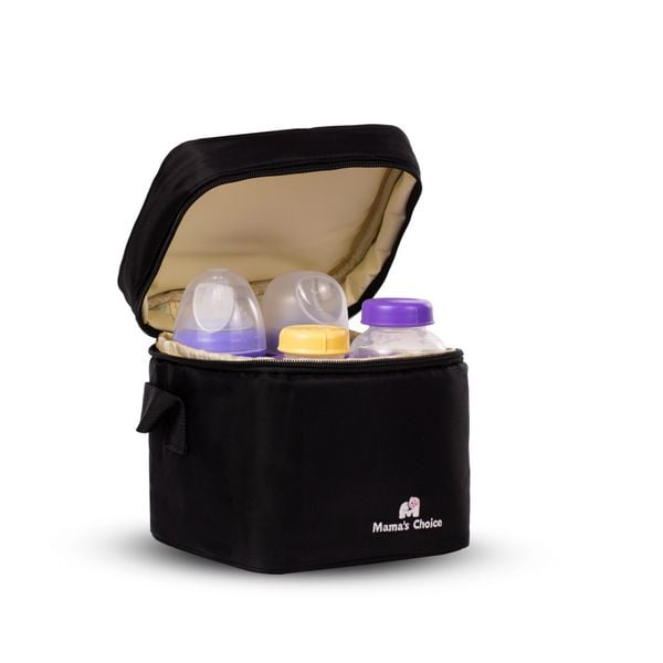 Dùng túi giữ nhiệt nhỏ gọn + đá khô