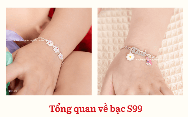Tổng quan về loại bạc S99