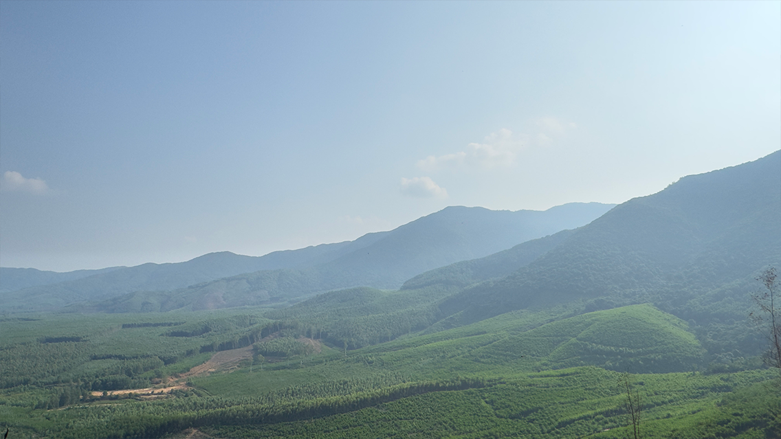 RIDE THE DRAGON: A SLOW CYCLING JOURNEY THROUGH VIETNAM