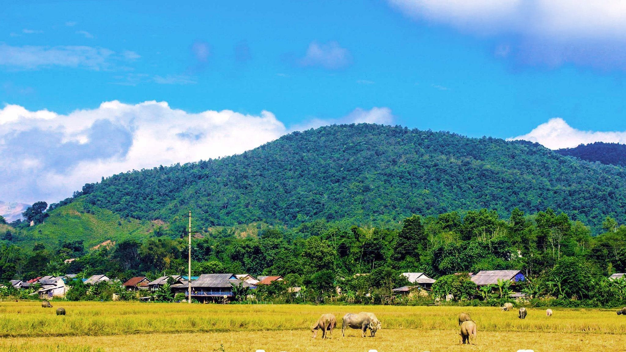 SLOW CYCLING ADVENTURES THROUGH NORTHERN VIETNAM