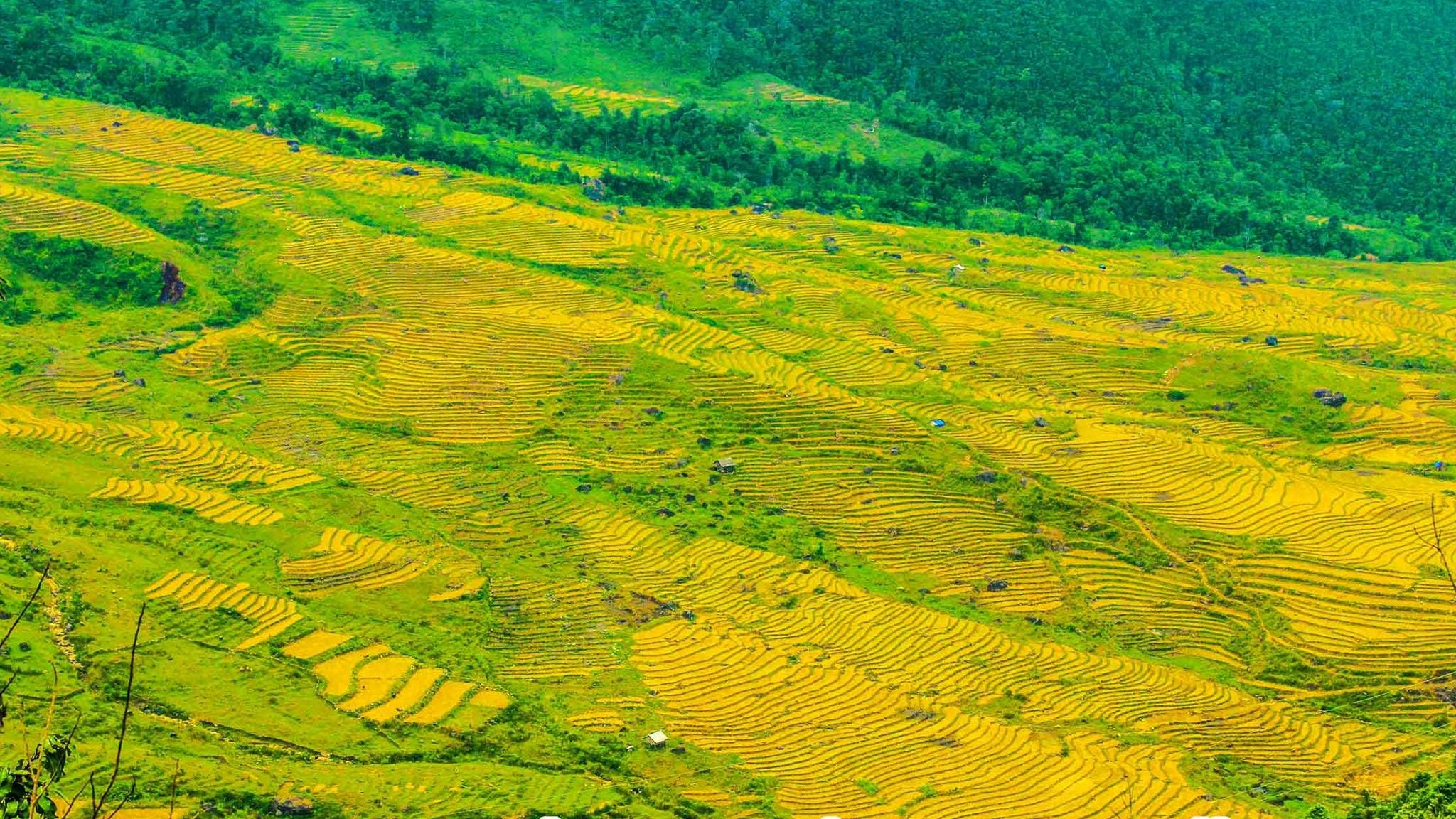 CYCLING SLOWLY THROUGH NORTHERN VIETNAM TOGETHER