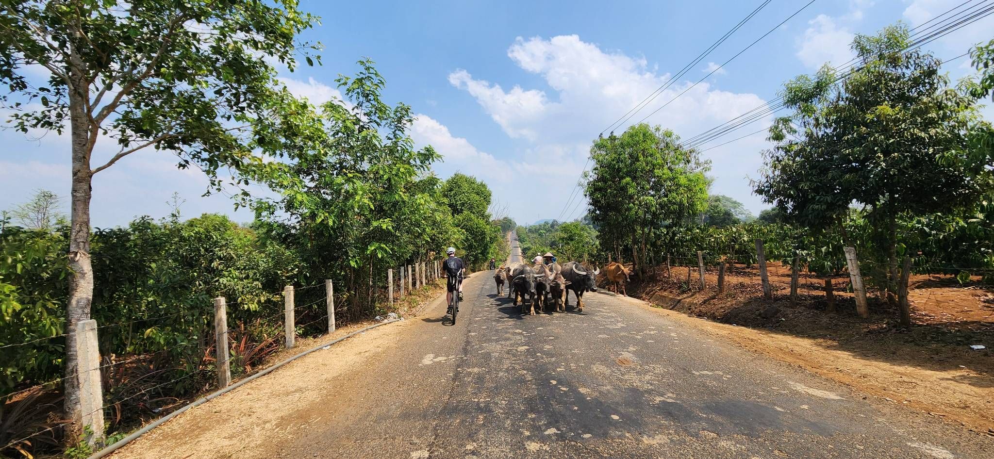 VIETNAM ADVENTURE CYCLING THROUGH RURAL LANDSCAPES