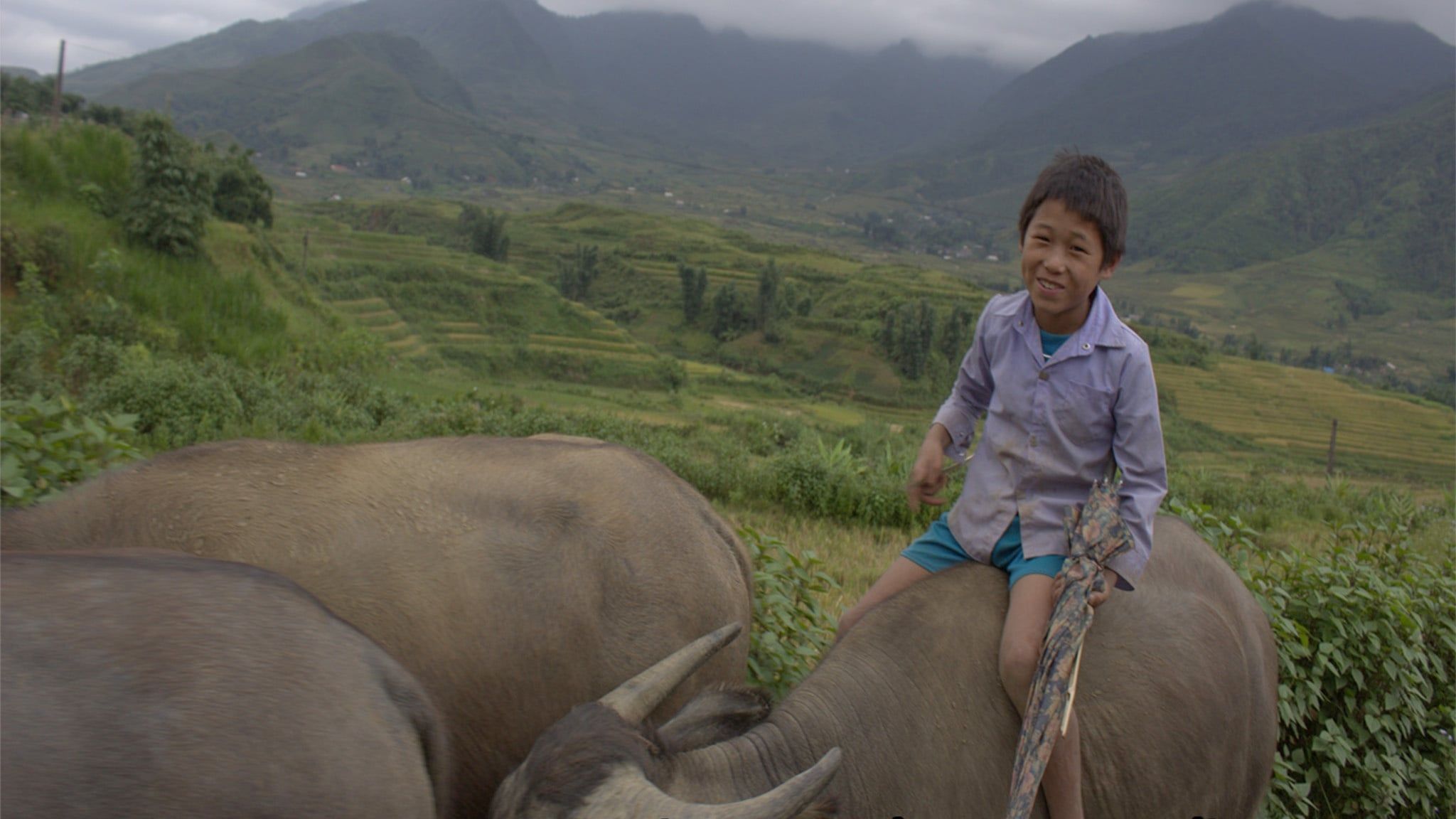 CYCLING SLOWLY FROM BANGKOK TOWARD HANOI TOGETHER