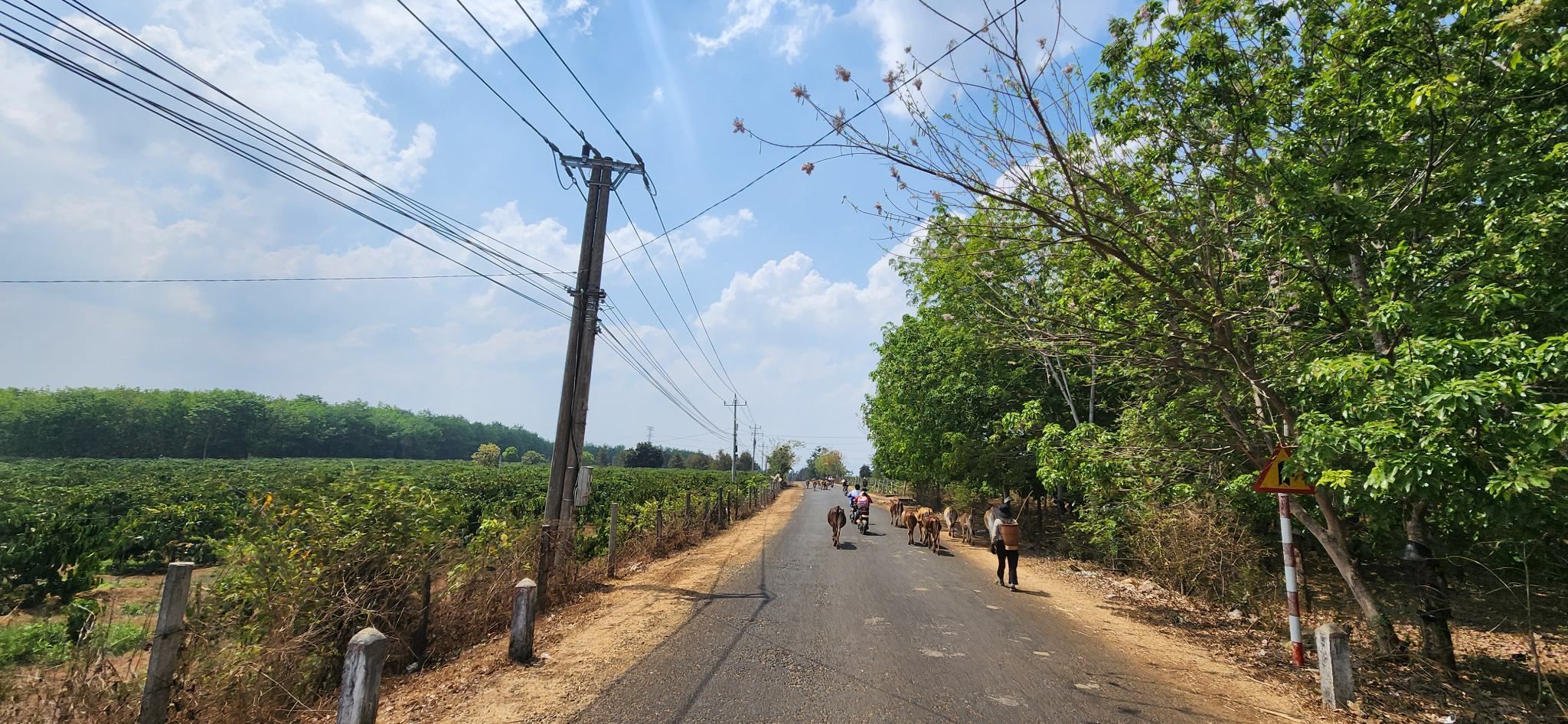 VIETNAM ADVENTURE CYCLING THROUGH RURAL LANDSCAPES