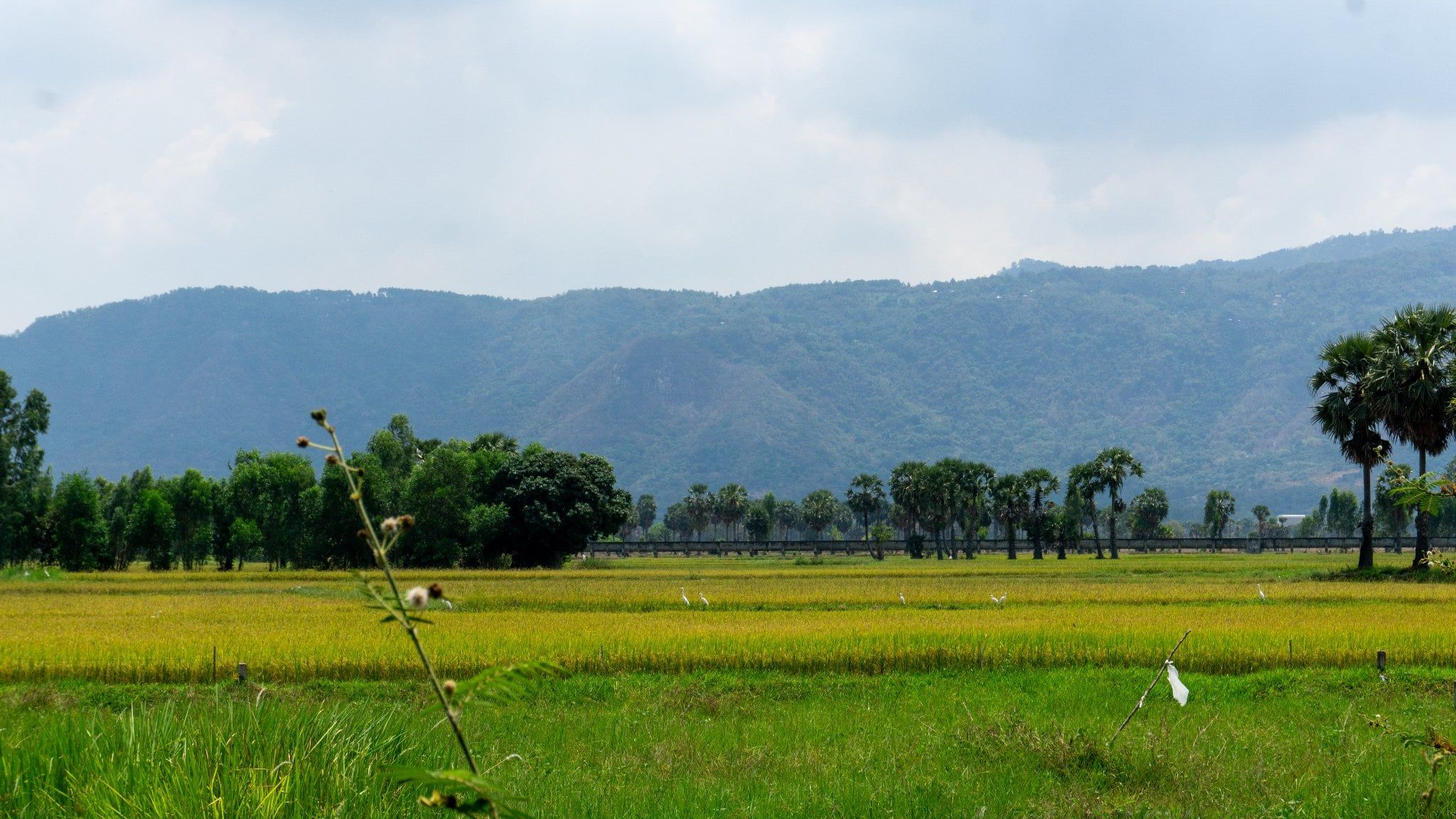 BEYOND THE PEDALS: A SLOW CYCLING JOURNEY THROUGH RIVERS, FIELDS, AND HUMAN STORIES
