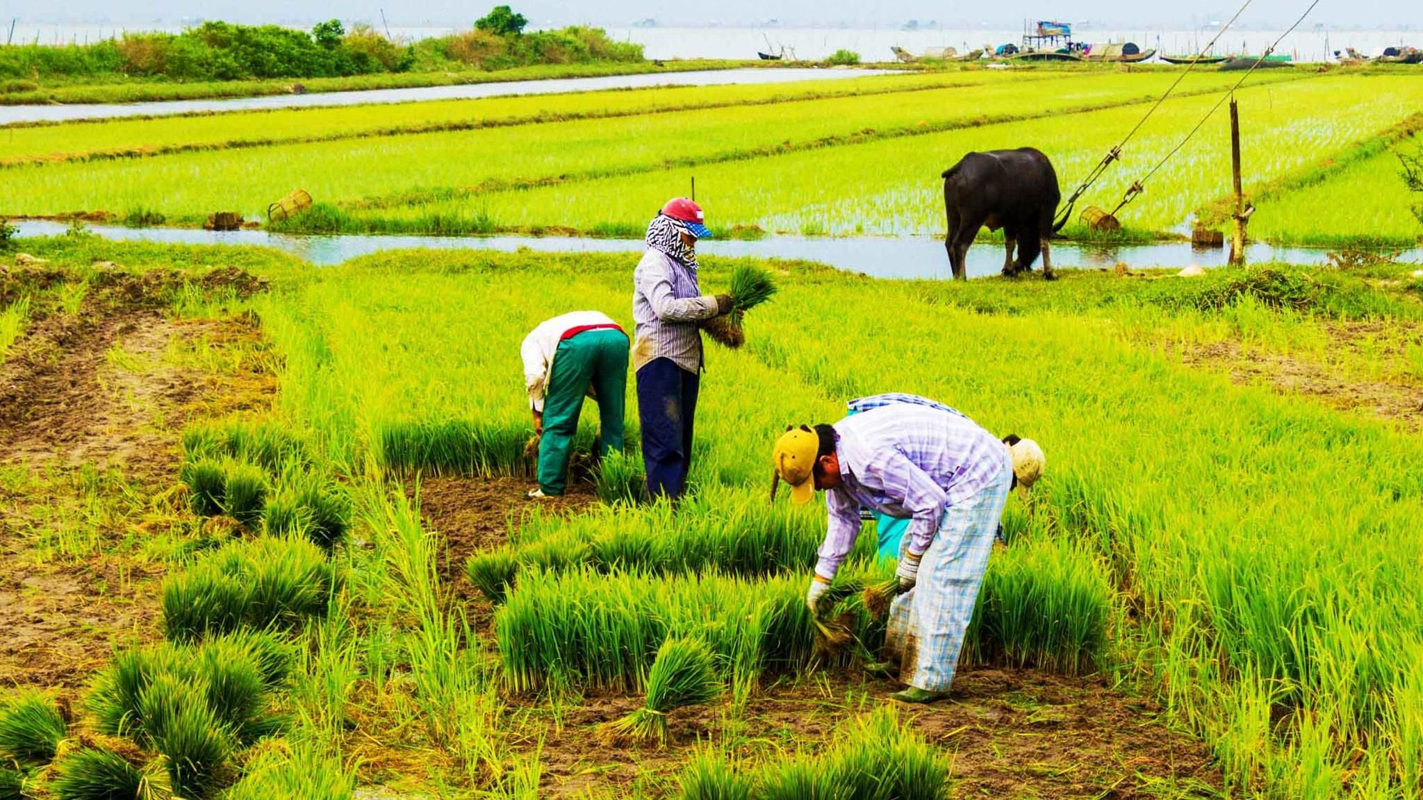 A JOURNEY SHAPED BY CONNECTION