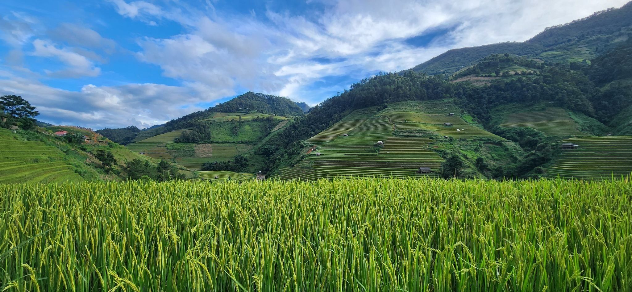 BICYCLE TOUR FROM BANGKOK TO VIETNAM THROUGH MOUNTAINS AND CULTURE