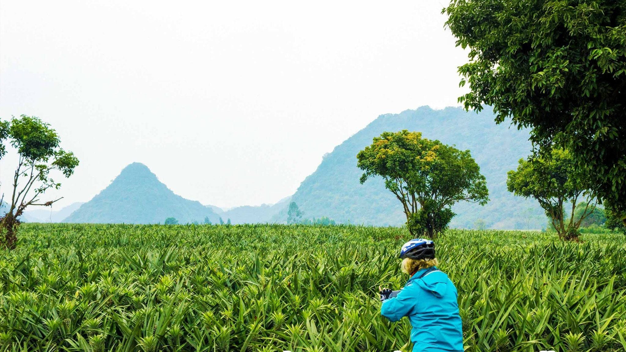 A JOURNEY SHAPED BY CONNECTION