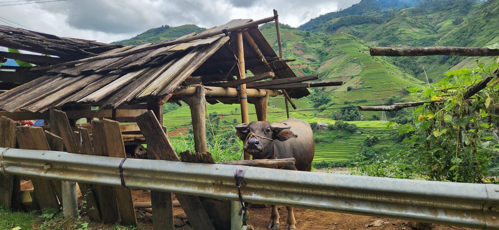 CYCLE FROM BANGKOK TO VIETNAM THROUGH CULTURE AND LANDSCAPES