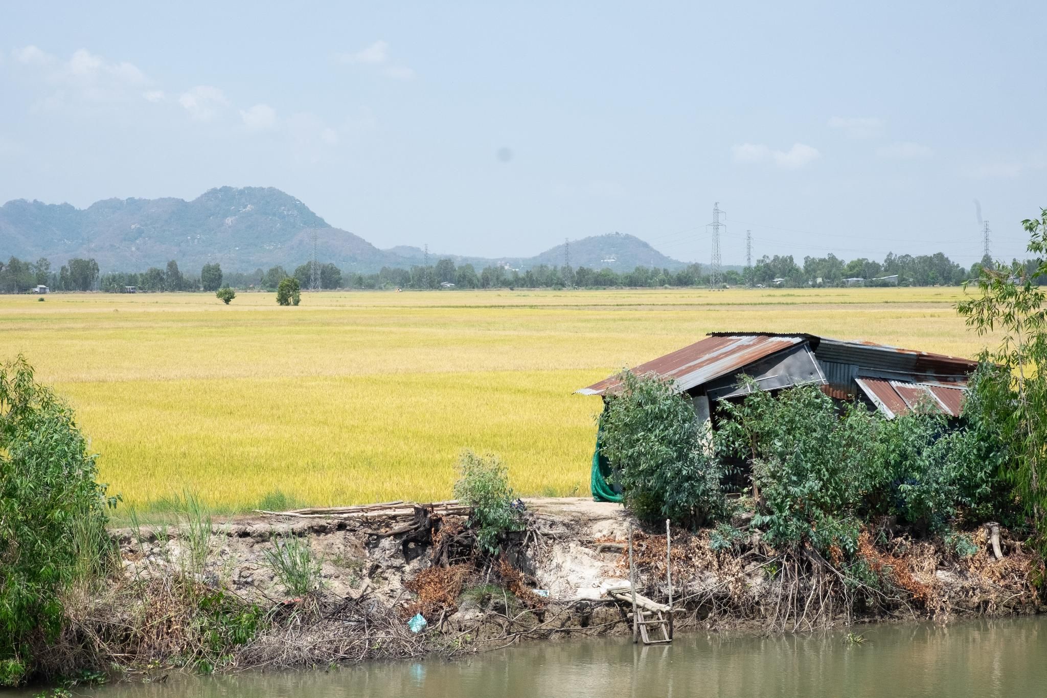 PEDALING INTO THE HEART OF THE MEKONG: A JOURNEY BEYOND DISTANCE