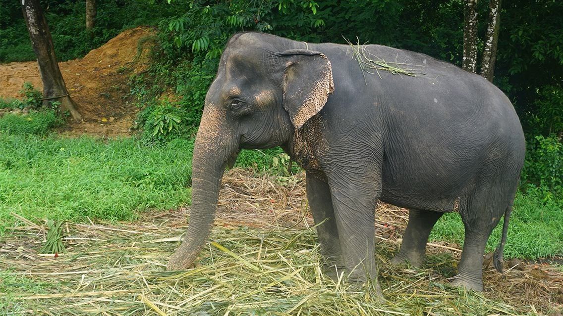 SOUTHEAST ASIA CYCLING FROM HO CHI MINH TO BANGKOK