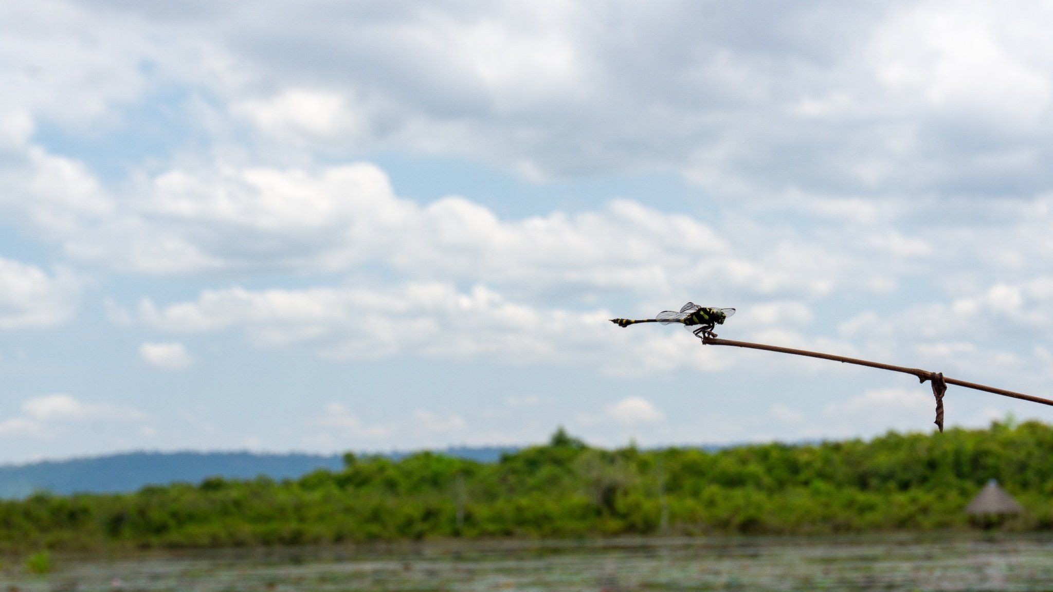 ANGKOR WAT CYCLING: RIDE THE MAGIC OF THE KHMER KINGDOM