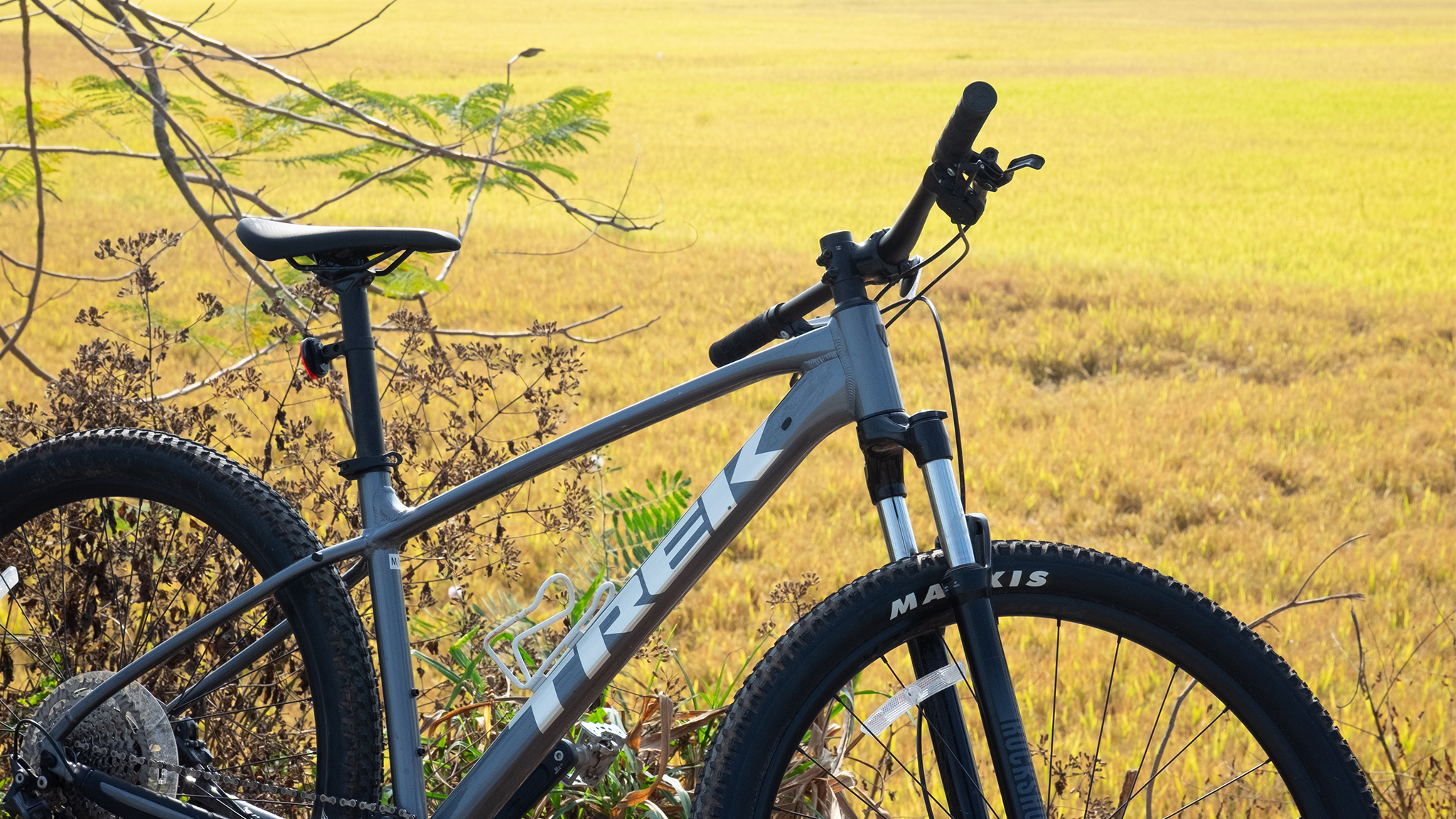 MAGIC OF CAMBODIA CYCLING: PEDALING THROUGH TIME TO DISCOVER ANCIENT WONDERS