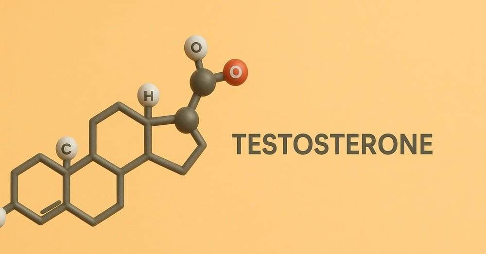 Testosterone là hormone được sản xuất chủ yếu ở nam giới