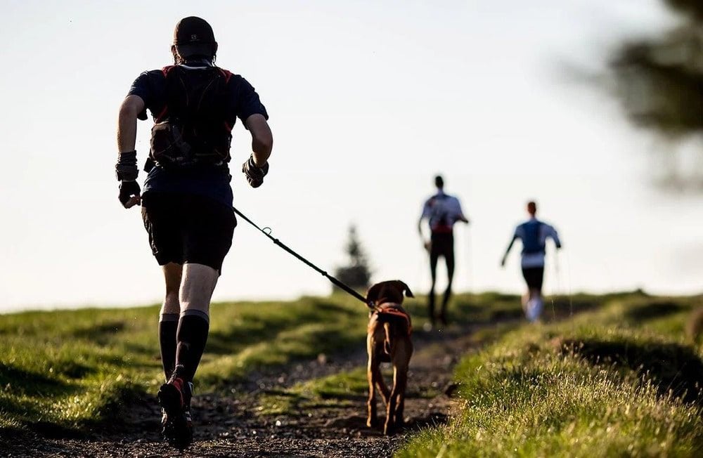 Chạy bộ là 1 hoạt động tối ưu trong ngày nghỉ chủ động