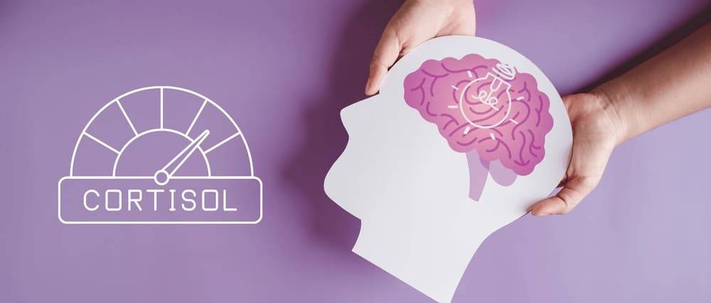 Cortisol là hormone căng thẳng