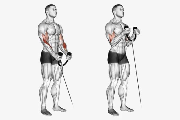 Biceps cable curl được thực hiện với máy tập cáp