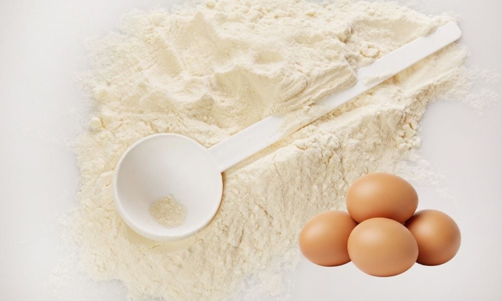 Bột protein trứng giàu axit amin