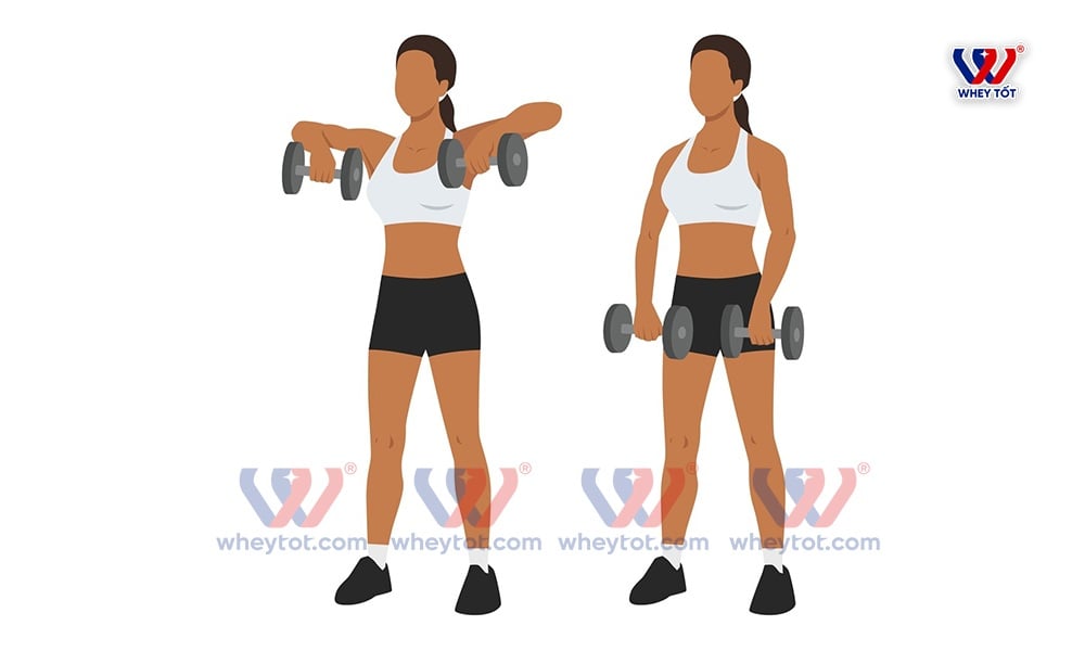 Bài tập kéo tạ đơn lên ngang vai giúp đôi vai dày rộng, khỏe khoắn