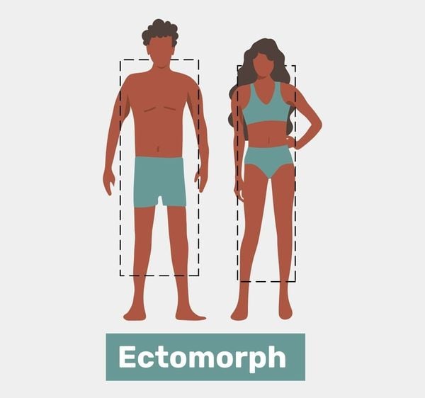 Tạng người ectomorph có cơ thể mảnh mai, thon gọn, ít mỡ