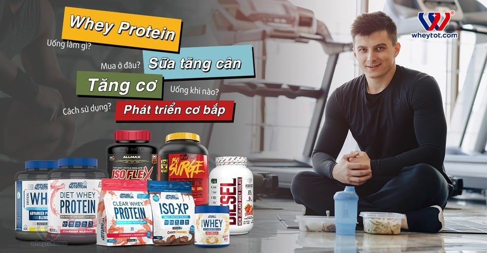 Sản phẩm Whey Tốt cung cấp