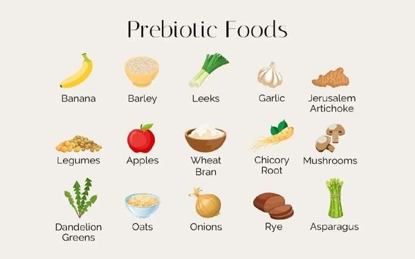 Các thực phẩm chứa hàm lượng lớn Prebiotic tốt cho đường ruột