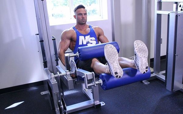 Seated Leg Curls cô lập cơ gân kheo, phát triển cơ sau đùi hiệu quả