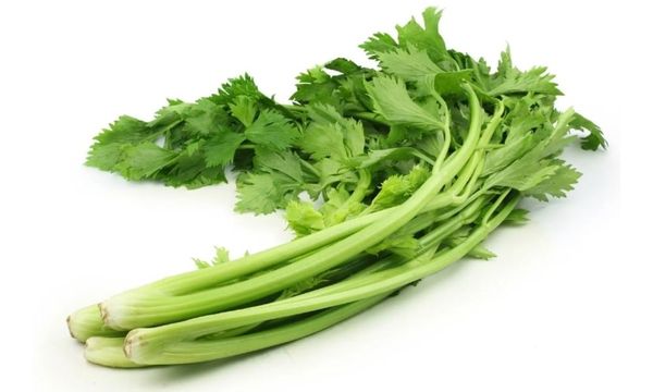 Rau cần tây giàu chất xơ, vitamin và khoáng chất