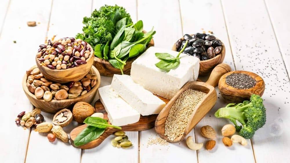 Plant protein là nguồn protein được chiết xuất hoàn toàn từ thực vật