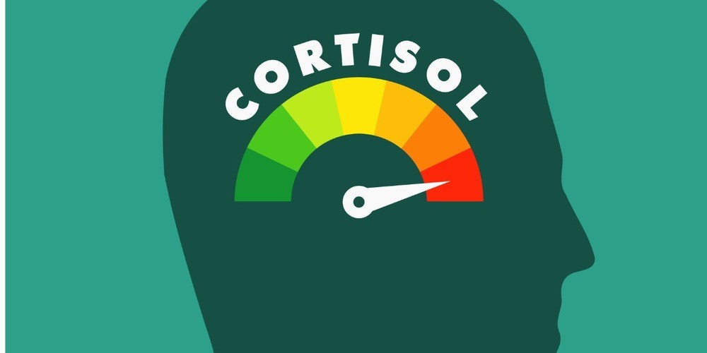 Stress làm tăng Cortisol gây phá vỡ cân bằng hormone