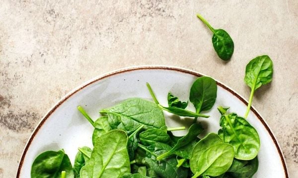 100g rau bina có thể cung cấp 0,53mg kẽm