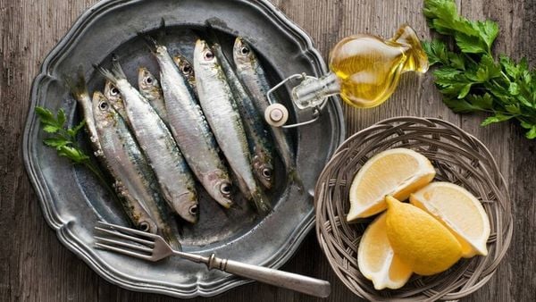 Các loại cá béo giàu omega 3 là thực phẩm tốt cho gan