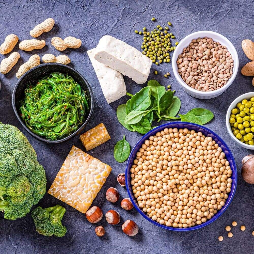 Vegan protein là thực phẩm bổ sung protein có nguồn gốc từ thực vật