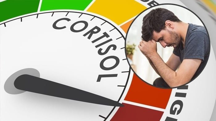 CORTISOL – Hormone căng thẳng,