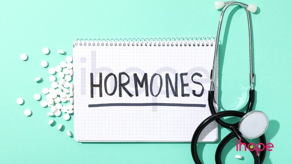 Một Câu Hỏi Lớn: Supplements Có Thay Thế Được Hormone Không? ❓