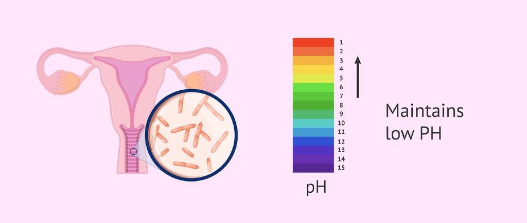 Vì sao phụ nữ sau sinh dễ bị nấm vùng kín?
