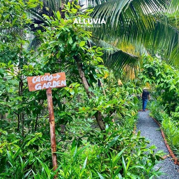 co-nen-tang-socola-cho-doi-tac-vao-noel-khong