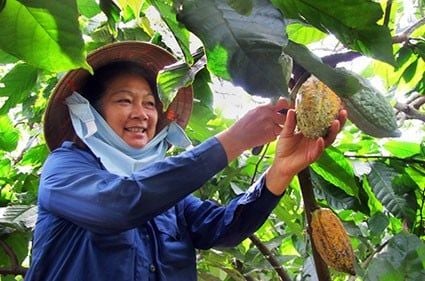 quy-trinh-san-xuat-socola-thu-cong