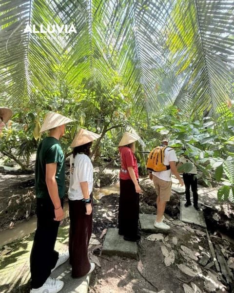 tham-quan-nong-trai-ca-cao