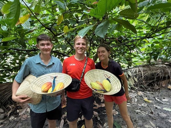 tham-quan-nong-trai-ca-cao