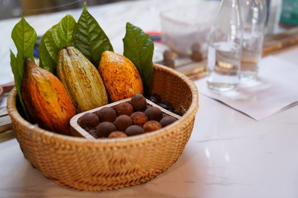 socola-den-hanh-nhan